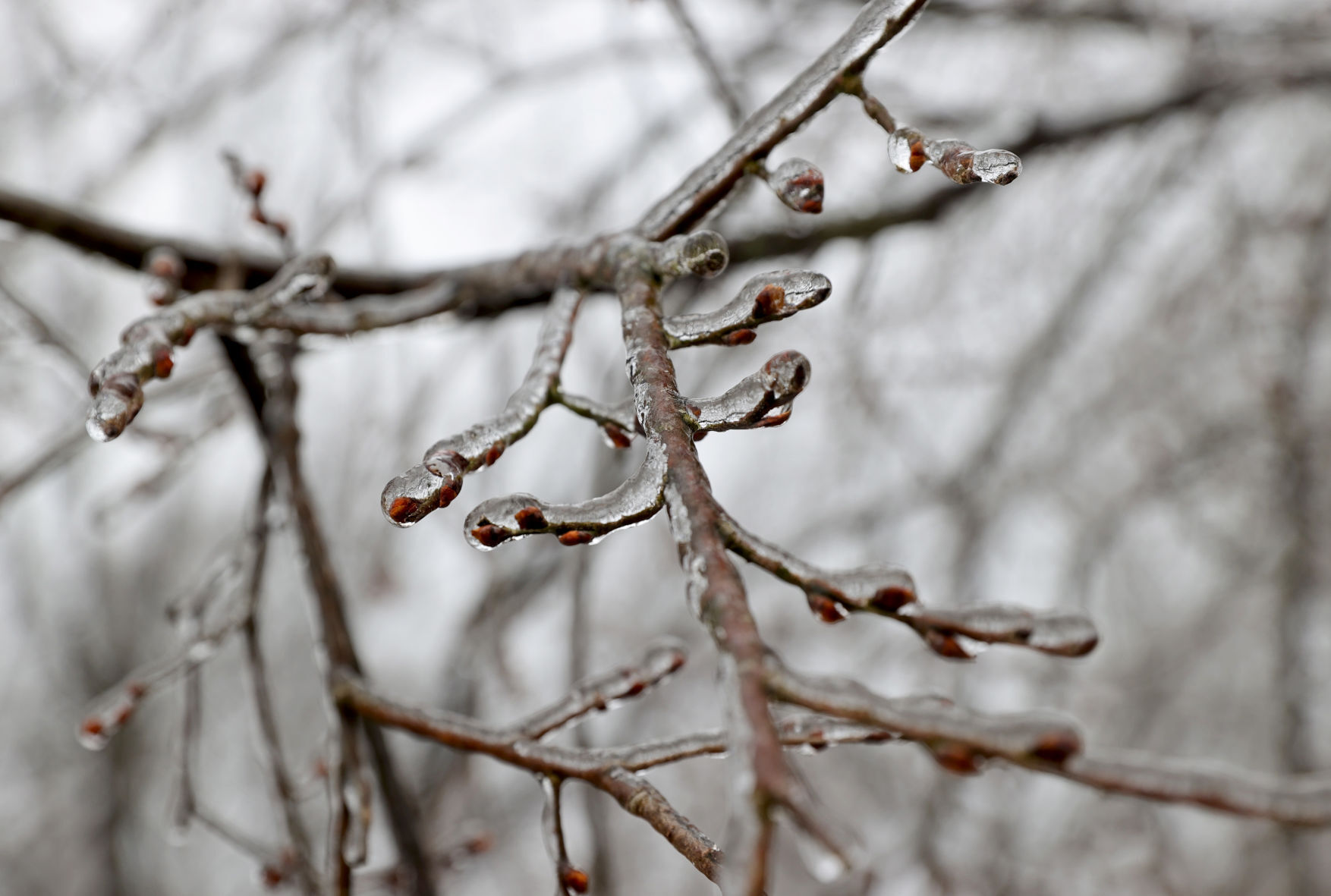 ice storm